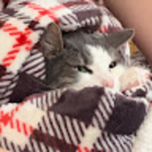 Meet your Posher, Christianna